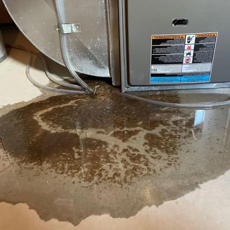 Pipe Burst and Leak Restoration in Audubon County, IA
