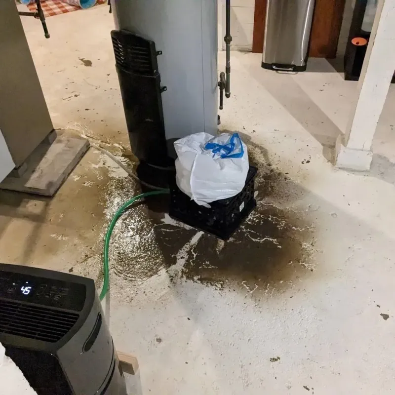 Sewage Backup Cleanup Service in Audubon County, IA